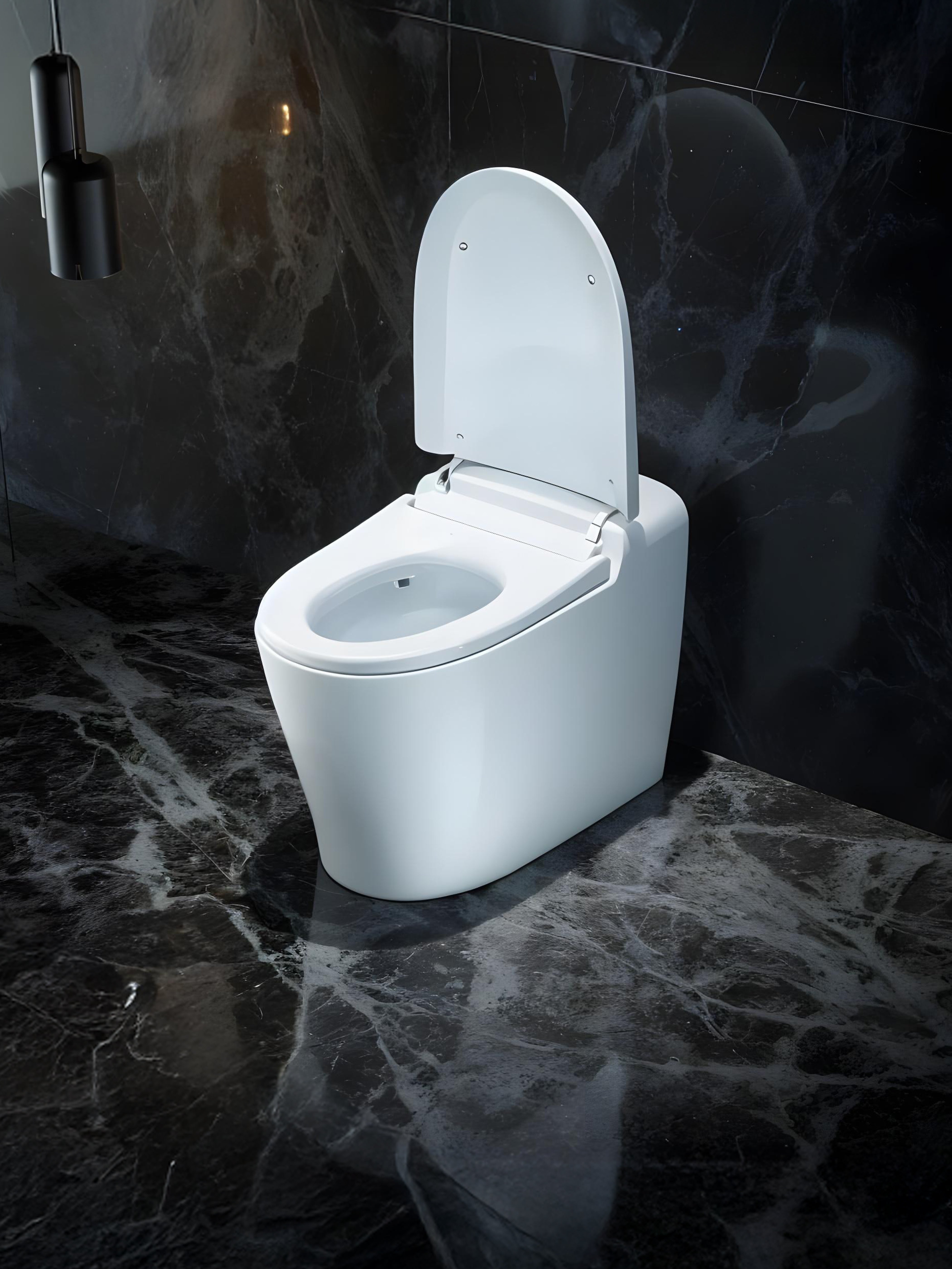 Deluxe Smart Toilet