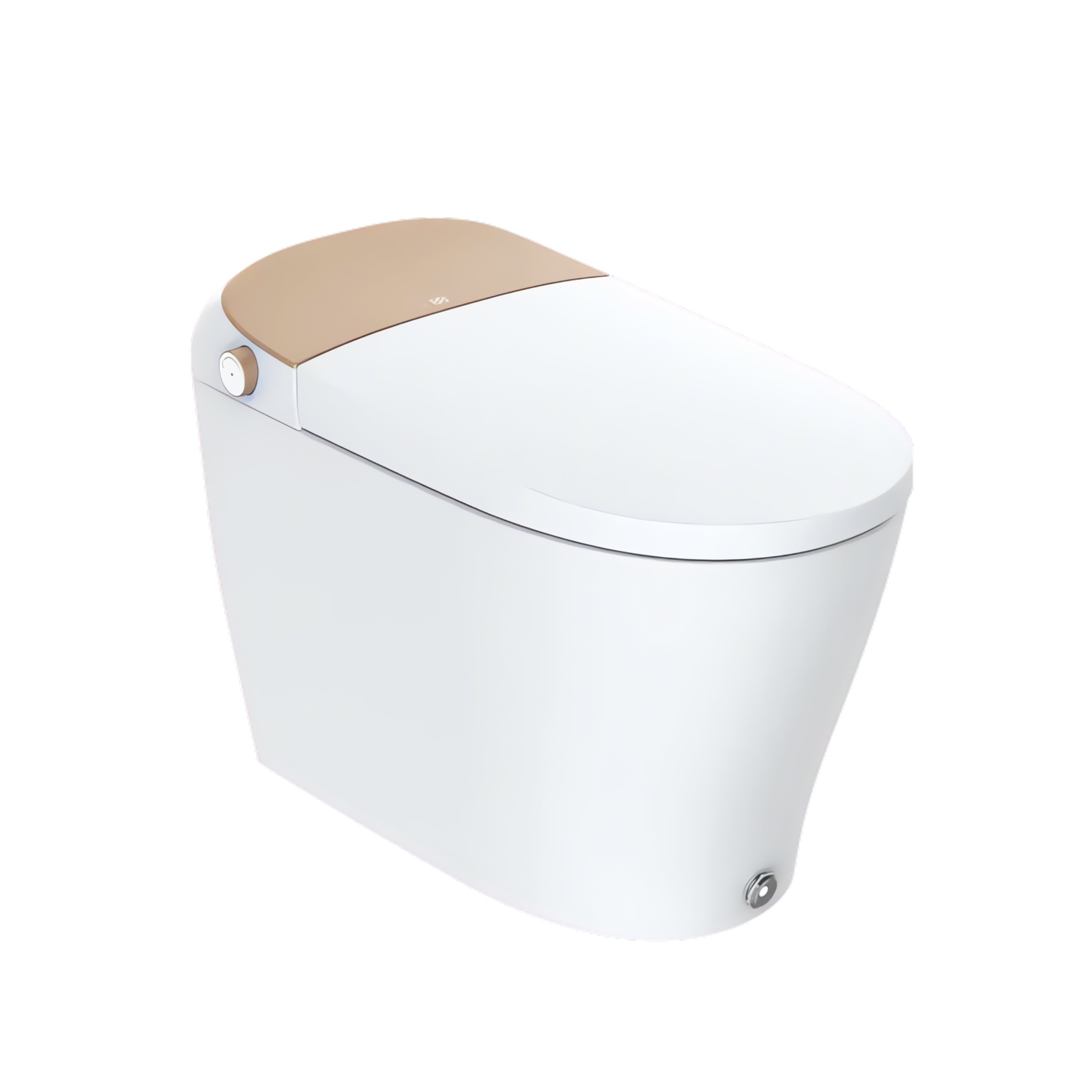 Lux Gold Smart Toilet