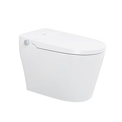 Mono Smart Toilet